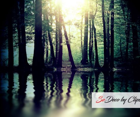 Clipso - Paysages - CD 1765