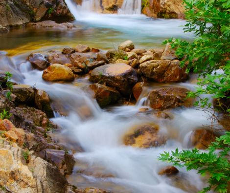 Clipso - Paysages - CD 1219