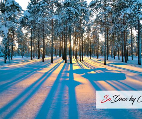 Clipso - Paysages - CD 1760