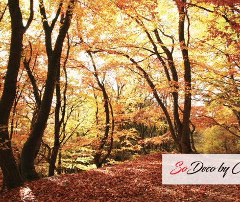 Clipso - Paysages - CD 1058