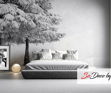 Clipso - Paysages - CD 1846