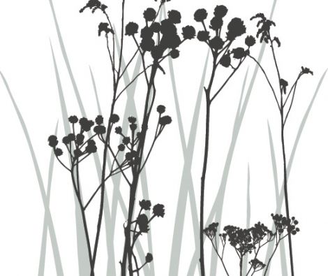 Clipso - Végétal - CD 1848