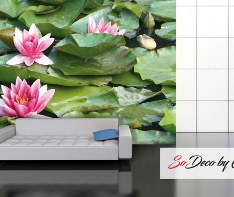 Clipso - Végétal - CD 1665 Lotus