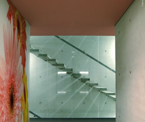 Clipso - Végétal - CD 1027 Trois Gerberas