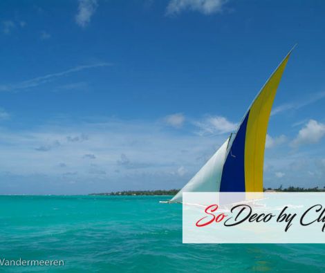 Clipso - RV - Bateaux à L'île Maurice 78