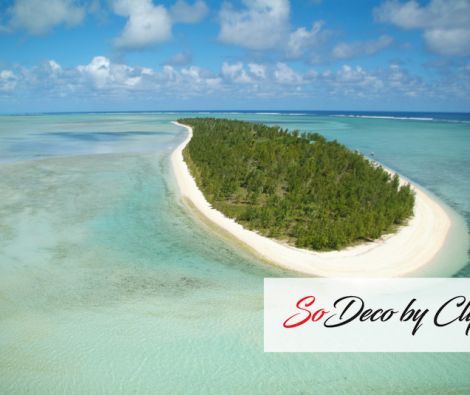 Clipso - RV - Ile Aux Cocos Ouest 15