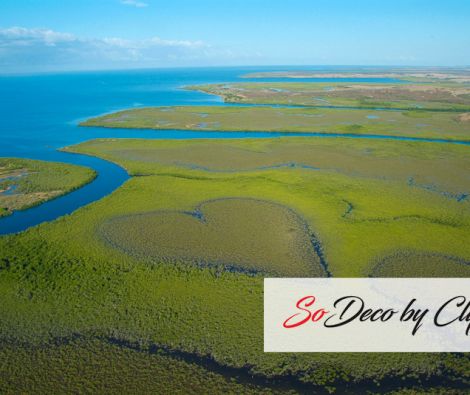 Clipso - RV - Coeur de Voh et Mangrove 50