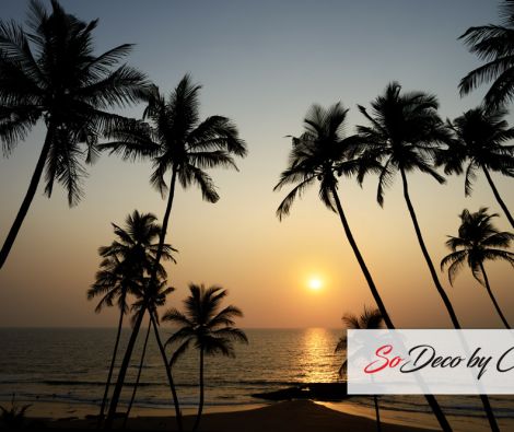 Clipso - TM Trivandrum India