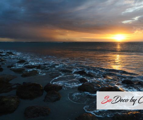 Clipso - TM Kuta Bali