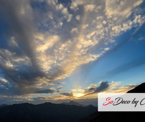 Clipso - TM Himachal India 4