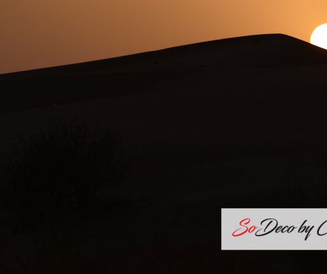 Clipso - TM Jaisalmer 2