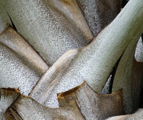 Clipso - TM Malaysia