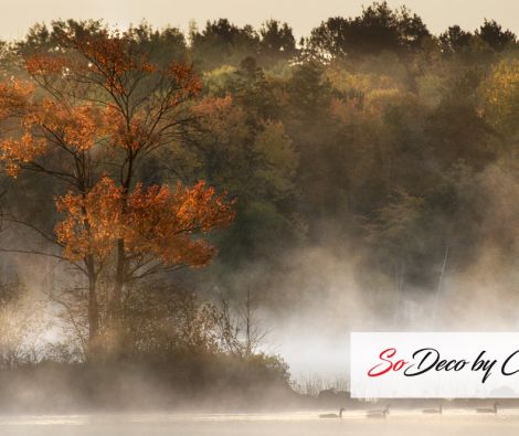 Clipso - TM Algonquin Ontario 1