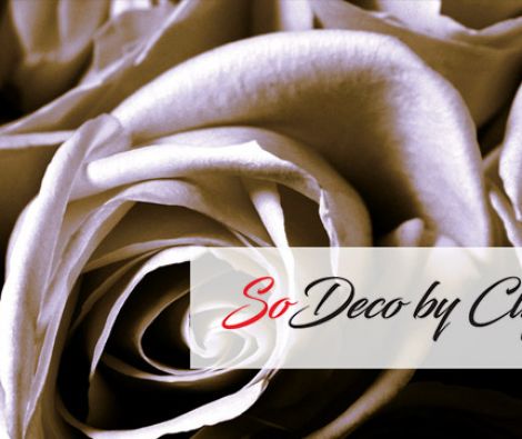 Clipso - TJ Caroline Rendu