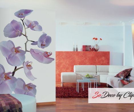 Clipso - TJ Emma Rendu