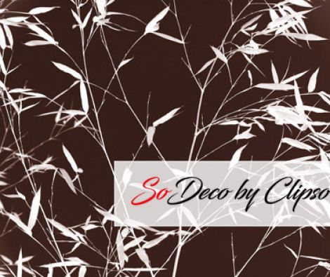 Clipso - VG - Bamboo 3