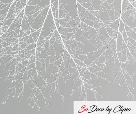Clipso - VG - 05