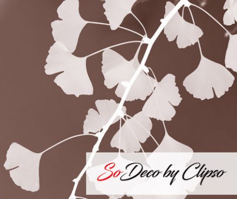 Clipso - VG - Ginko 5