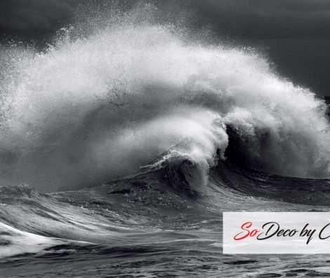 Clipso - VR Chevelure d'Ecume 02