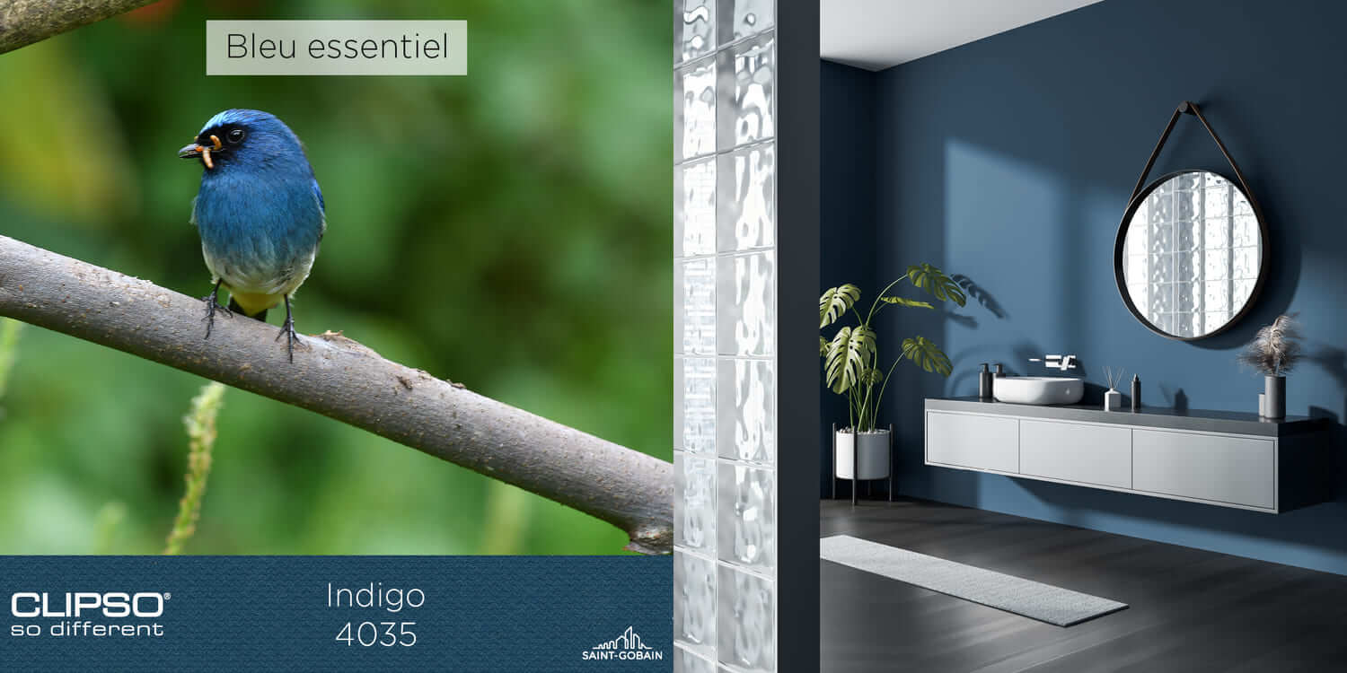 4035 - BLEU INDIGO : Une teinte bleu intense qui ajoute une atmosphère lumineuse et sophistiquée à votre espace.